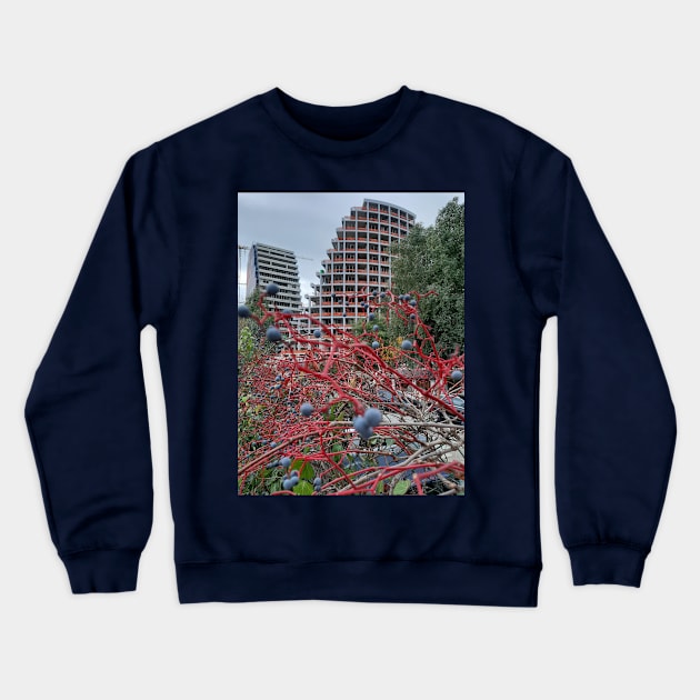 Tirana, Albania Crewneck Sweatshirt by Stephfuccio.com